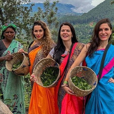 Culinary & Tea Trail Tour