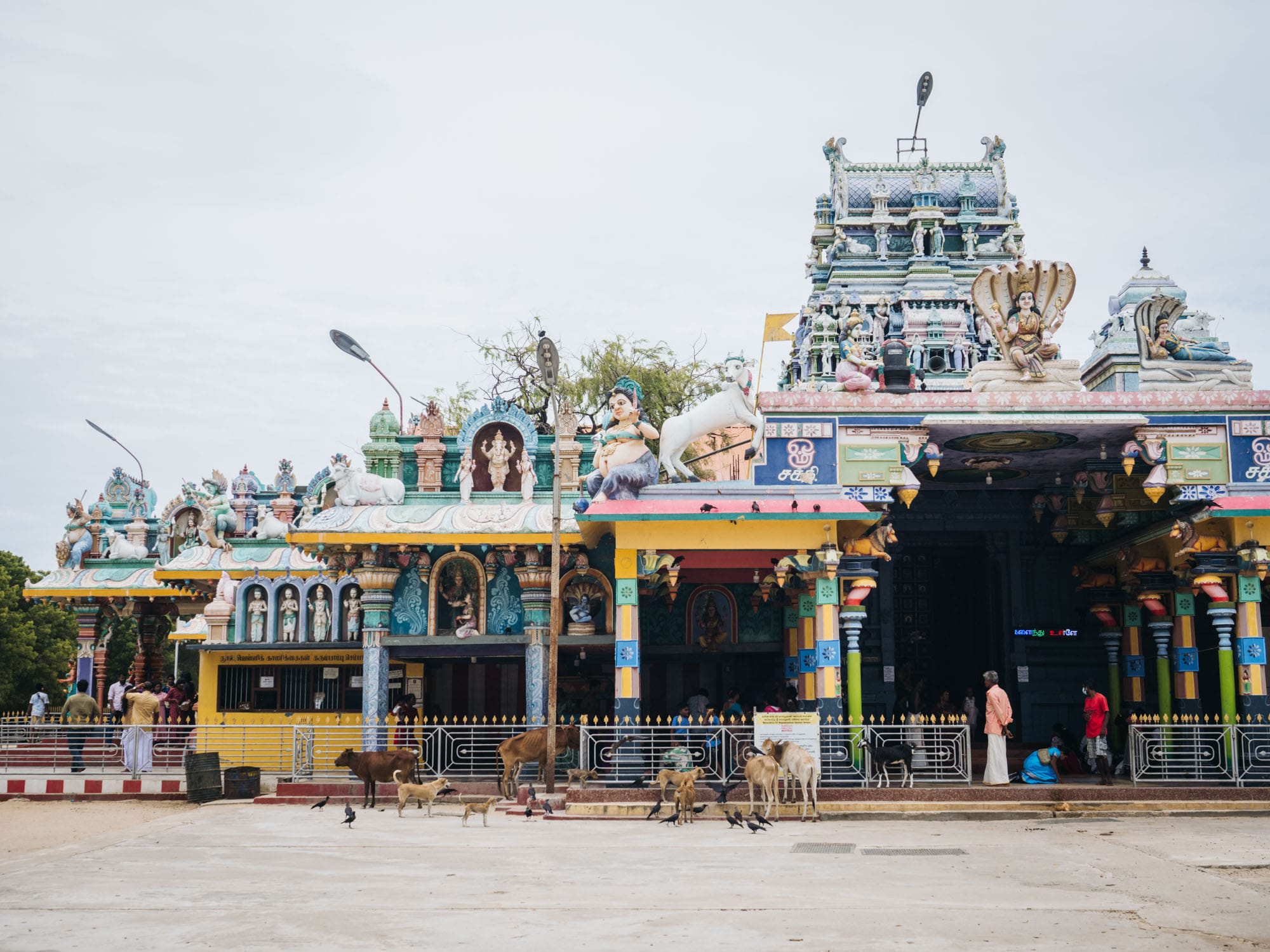 Ramayana Trail Tour Srilanka